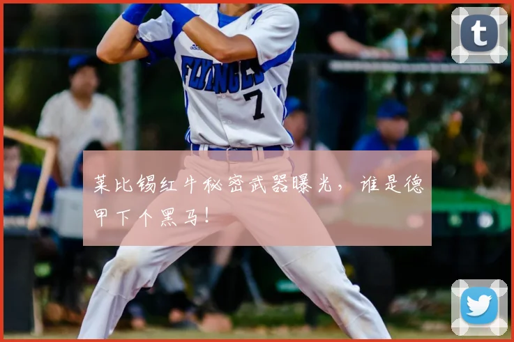 莱比锡红牛秘密武器曝光,谁是德甲下个黑马!