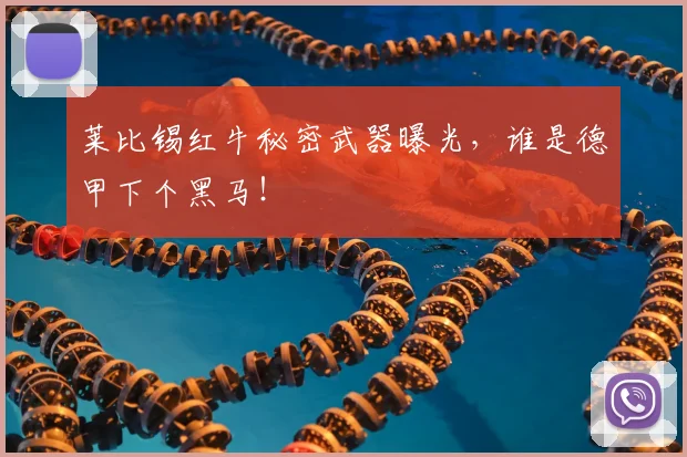 莱比锡红牛秘密武器曝光，谁是德甲下个黑马！